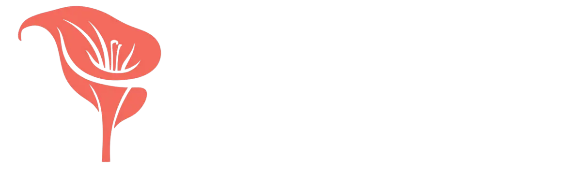 Kallos Haven: Skincare and Wellness Redefined